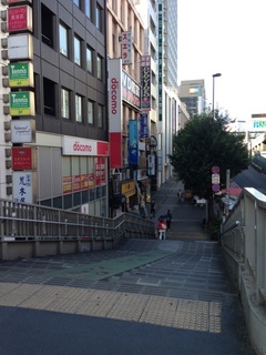 セルリアン方面へ下る歩道橋.jpg