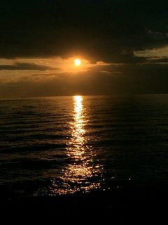1917038_927275297320735_3873140973261027934_n.jpg